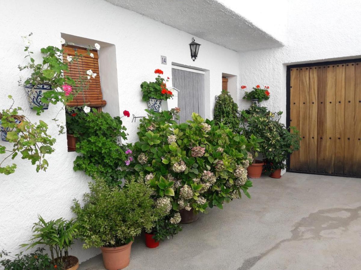 Casa La Huerta Apartment Bubion Exterior photo